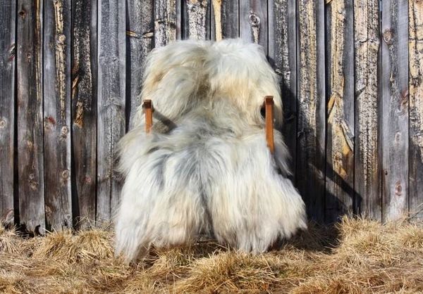 Hovedbilde Saueskinn fra Myrvangen gård